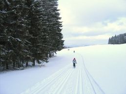 Cross skiing